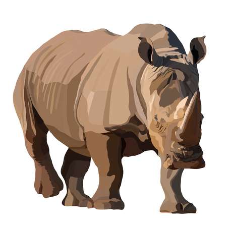 Big African rhino wlking isolated vector illustrationのイラスト素材