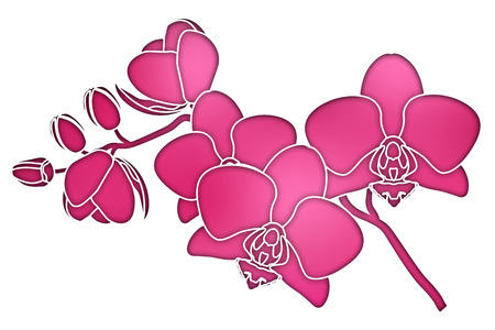 Paper cut purple silhouette orchids vector illustrationのイラスト素材