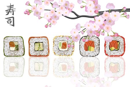 Maki roll with salmon and avocado Delicious japanese food with sushi roll.のイラスト素材