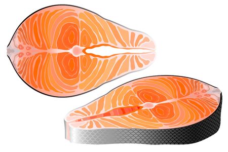 Salmon raw steak red fish top and perspective view vectorのイラスト素材