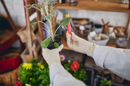 Cropped photo of a qualified biologist holding a vial of liquid fertilizer in one handの写真素材