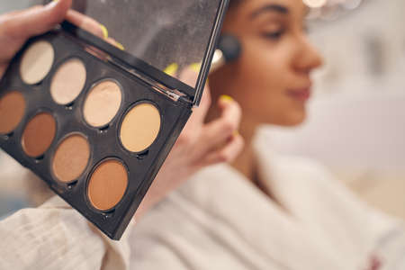 Professional sculptor palette in hand of makeup artistの写真素材