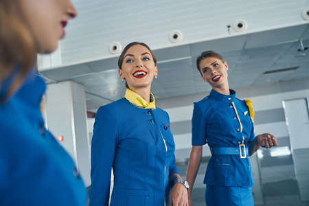 Young Caucasian stewardesses talking to each other