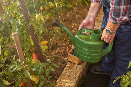 Responsible gardener bringing water for his plantsの写真素材