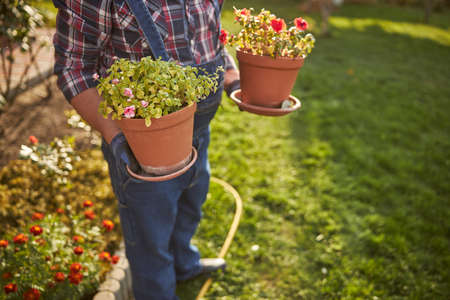 Hard-working male gardener is holding two flowerpotsの写真素材