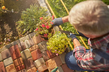 Enthusiastic gardener taking care of potted plants
