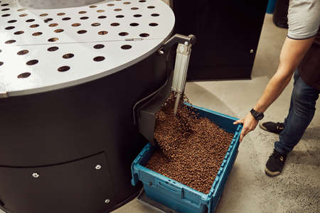 Male worker using professional coffee roasting machine