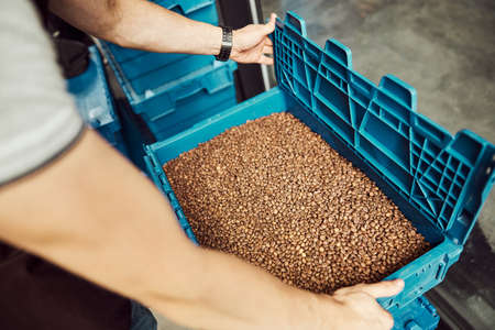 Male worker holding plastic crate with coffee beans