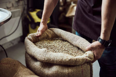 Male worker hands holding bag with green coffee beans