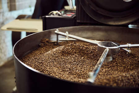 Freshly roasted arabica coffee beans in cooling trayの写真素材