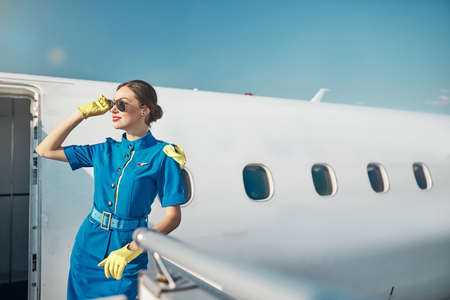 Joyful beautiful stewardess meeting passengers on sunny dayの写真素材