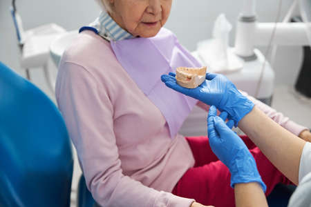 Dentist demonstrating impression of a jaw to clientの写真素材
