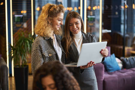 Charming female colleagues using notebook in officeの写真素材
