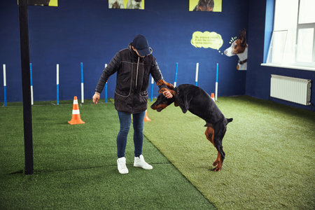 Dog performing the Stand command supported by an instructor