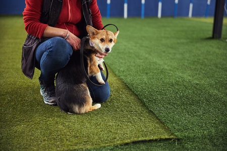 Cute puppy and a handler seated on the artificial grass