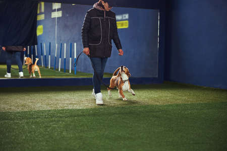 Focused instructor practicing a new command with a puppyの写真素材