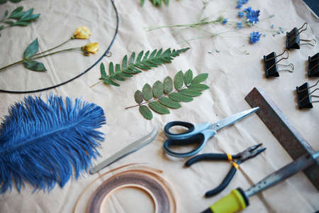 Herbalist tools and various plants on sheet of paperの写真素材
