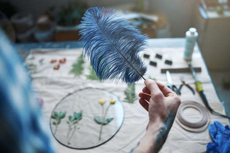 Male herbalist hand holding beautiful blue featherの写真素材