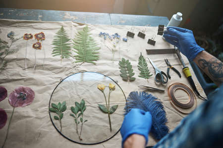 Male person in sterile gloves masking herbarium in workshopの写真素材