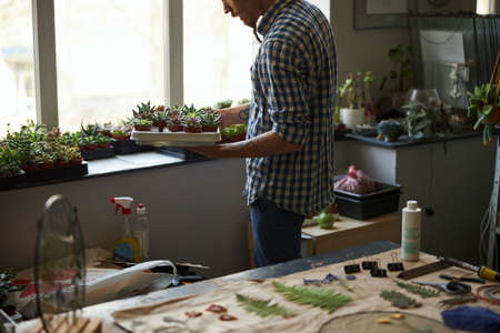 Young man with plants standing in workshopの写真素材