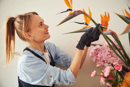 Joyous florist admiring the beauty of a crane flowerの写真素材