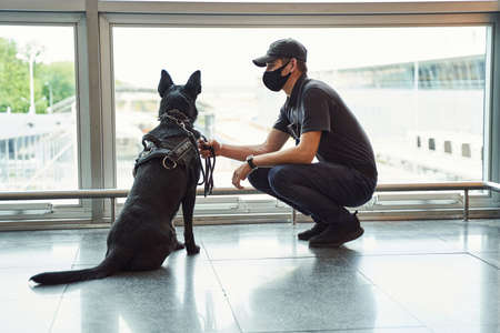 Security officer with detection dog patrolling airport terminalの写真素材