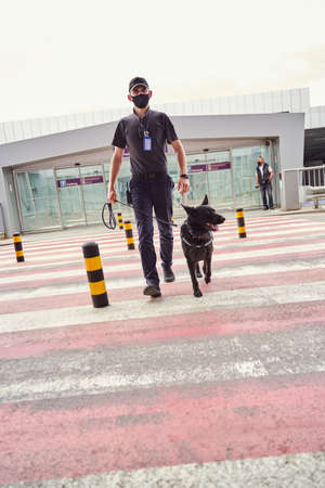Security guard with police dog crossing the road at airportの写真素材