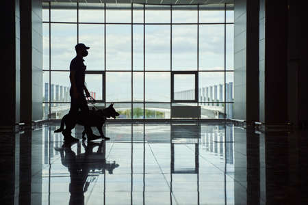 Security worker and police dog walking down airport terminalの写真素材