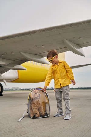 Little boy in spectacles looking at his dogの写真素材