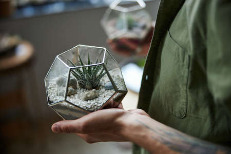 Male hand holding glass florarium with succulent plantの写真素材