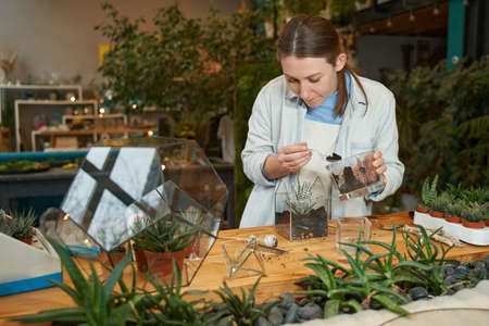 Pretty woman working in the studio and planting flowersの写真素材