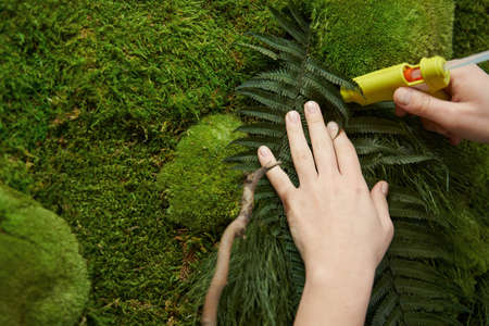 Female is making picture with green plantsの写真素材