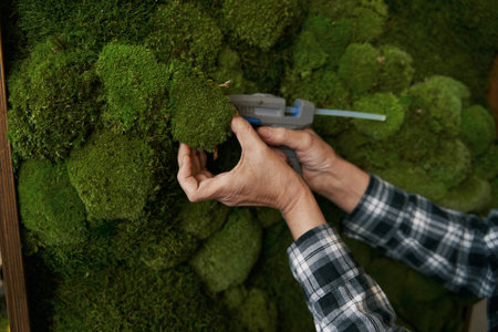 Close-up photo of woman gluing green plant on pictureの写真素材