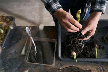Lady holding yellow flower with ground in workshopの写真素材