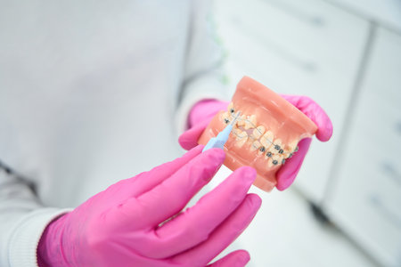 Doctor holds in his hands a model of the dentition