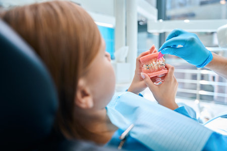 Young patient examines a dummy jaw with braces