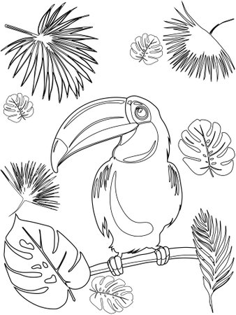 Toucan bird in tropical leaf. Outline image. Coloring book Illustration. Vector illustration ready for vinyl cutting.のイラスト素材