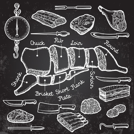 Different cuts of meat and set of knives. Vector.のイラスト素材