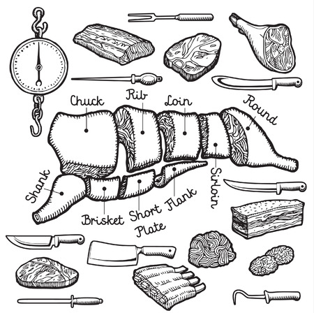 Different cuts of meat and set of knives. Vector.のイラスト素材