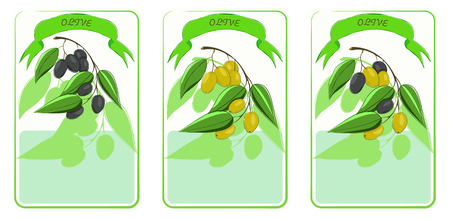 Label for olives, hand drawn templates for olives packaging. Green design, sketch for olive series green, black, mix olives, natural cosmetics, health care products, with place for text. Vectorのイラスト素材