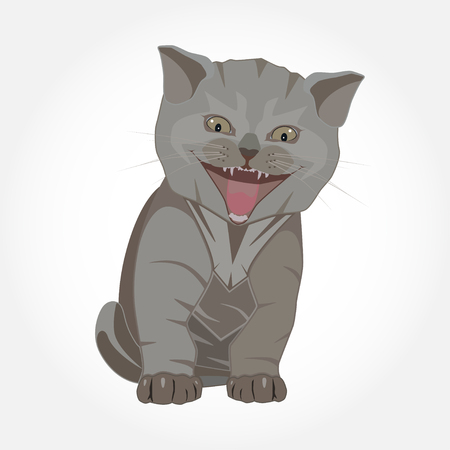 British shorthair kitten breed vector flat illustrationのイラスト素材