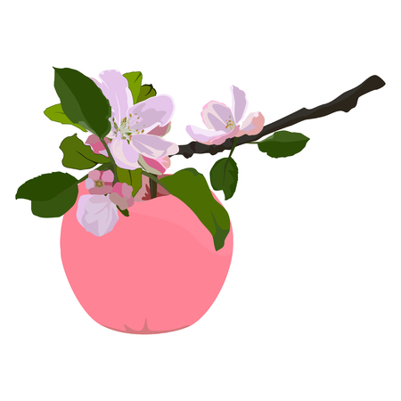 Pink apple and branch in blossom, vector flat isolated illustrationのイラスト素材