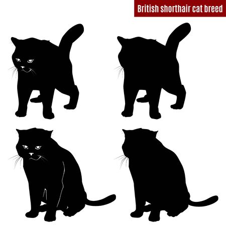 Cat black silhouettes on white background, vector illustrationのイラスト素材