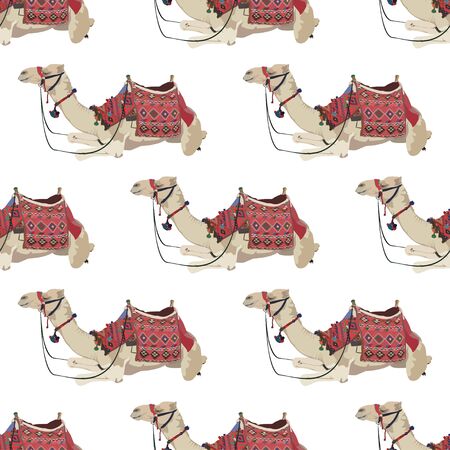 Vector seamless pattern with arabian one-humped camelのイラスト素材