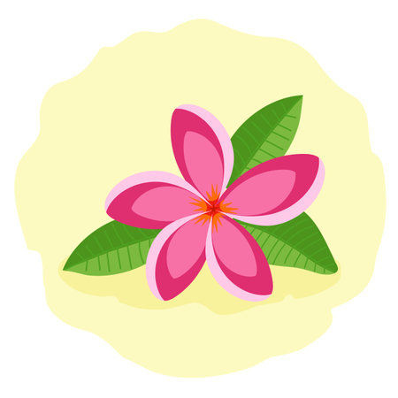Pink frangipani or plumeria. Beautiful tropical flower, vector illustration.のイラスト素材