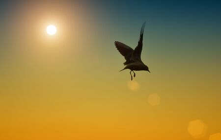 Turning Darkの写真素材