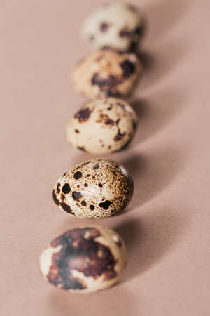 A line with shadows from quail eggs on beige creative minimal background.の写真素材