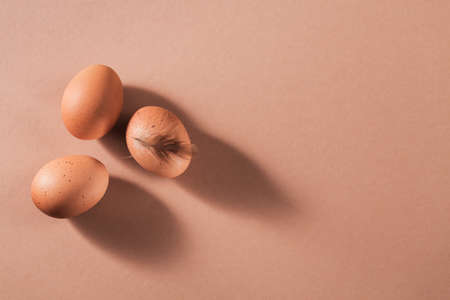 Chicken brown eggs with brown feathers on beige creative minimal backgroundの写真素材