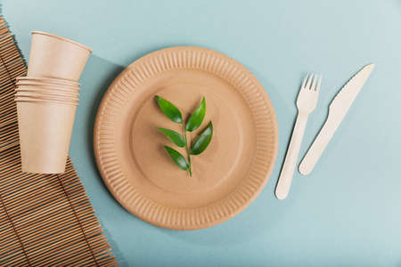 Disposable tableware from natural materials, wooden fork, knife. Biodegradable plate, Compostable cutleryの写真素材
