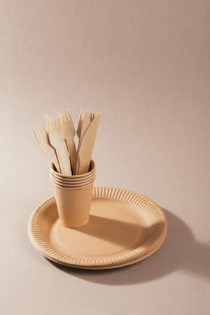 Disposable tableware from natural materials, wooden fork, knife. Biodegradable plate, Compostable cutleryの写真素材